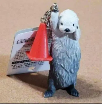 도바 수족관 랏코 메이짱 키링 미에현 도바수이