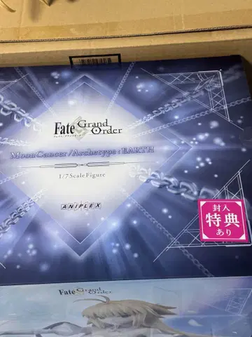 Fate/Grand Order 문 캔서/아키타입: 어스 특전 포함