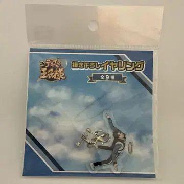 아토베 케이고 스카이 다이빙 귀찌 신 테니스의 왕자님