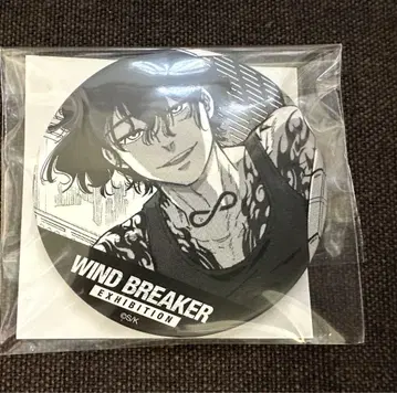 WIND BREAKER 캔뱃지