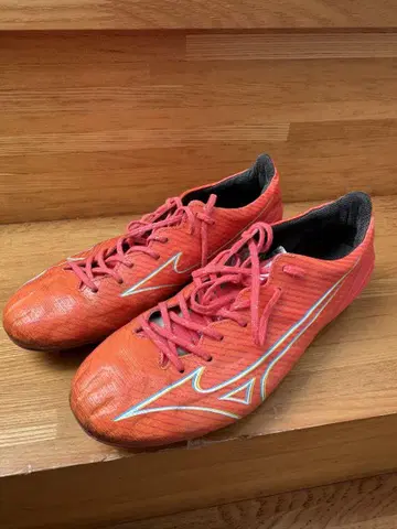 미즈노 알파 JAPAN