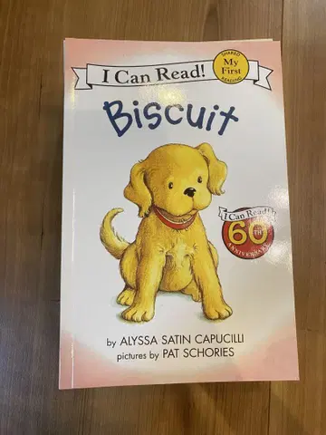 Biscuit 시리즈