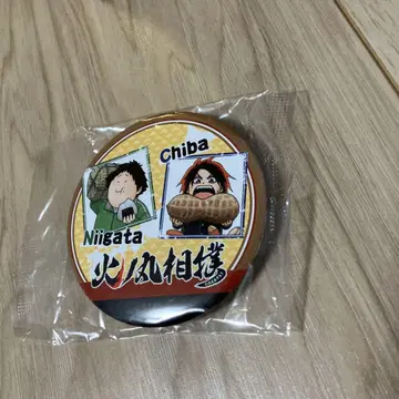 히노마루 스모 캔뱃지 점프 GIGA 설문 선물 당선품