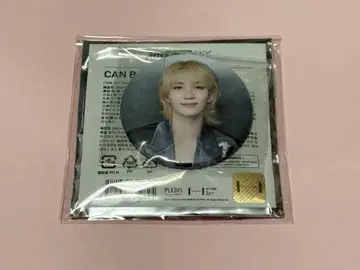 SEVENTEEN 세븐틴 RIGHTHERE 정한 캔뱃지