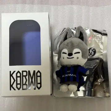 straykids 울프찬 KARMA 스키즈 버전 방찬