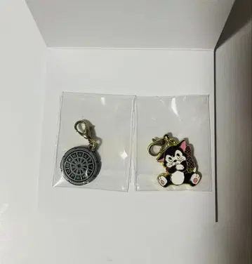 디즈니씨 22주년 랜덤 참 시크릿 피가로