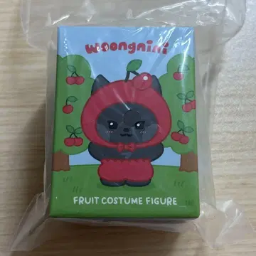 웅니니 제로니 후르츠 지운 woongnini