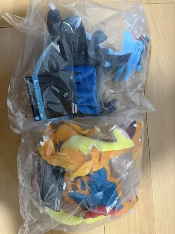 제일복권 포켓몬 메가 리자몽 A상 B상