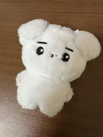 ENHYPEN 성훈 마스터 봉제 인형
