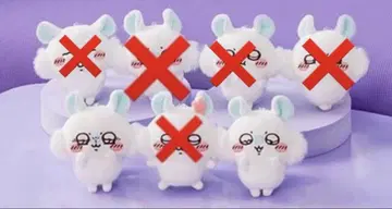 모몽가 가득 복권 2종류