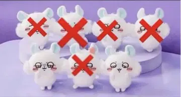 모몽가 가득 복권 2종류