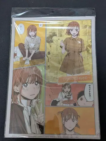 푸른상자 클리어 파일 세트 판매