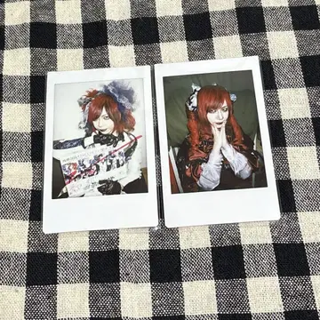 Royz 폴라로이드 공대