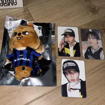 straykids karma skzoo 한