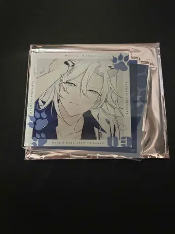 Honey Vibes 하니브 카운트다운 CD 아크릴 스탠드 알빈