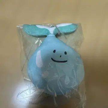 DA PUMP YORI 락티스 토토논
