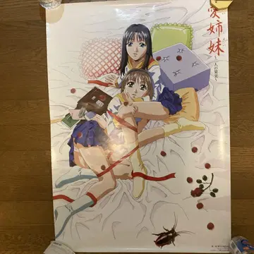 사랑 자매 두 사람의 과실 B2 포스터