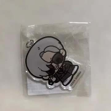 스트그라페스 반더마르 아크릴 키링
