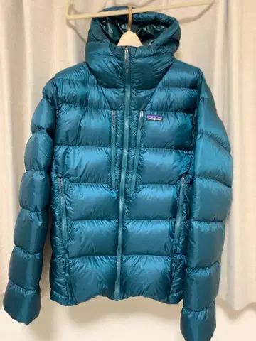 파타고니아 피츠로이 다운 DBGR M patagonia