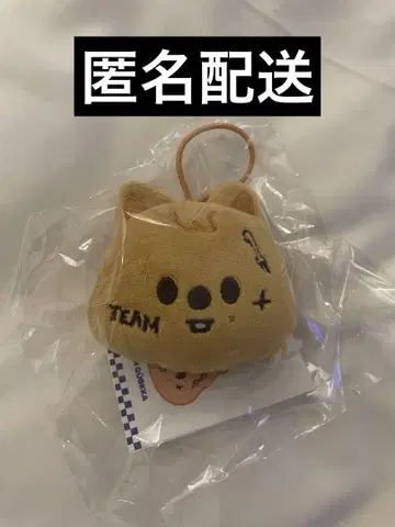 straykids 쿼카 한 네임택