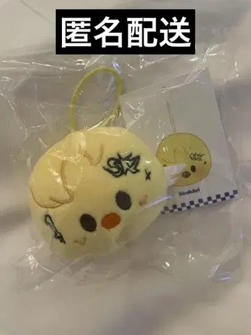 straykids 포가리 필릭스 네임택