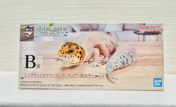 제일복권 파충류&양서류 레오파드 게코 피규어 탈피 중 B상