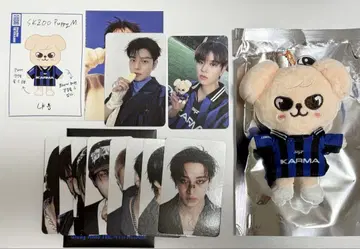 Stray Kids 굿즈 KARMA SKZOO ver 승민