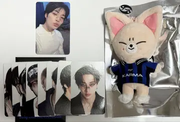 Stray Kids 굿즈 KARMA SKZOO ver 아이엔