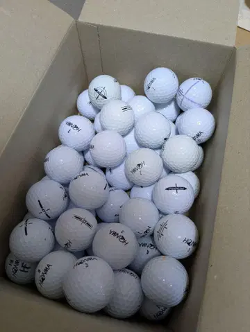 HONMA 로스트볼 50개 비교 새상품급