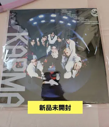 STRAY KIDS KARMA 미개봉 새상품 한정판 1개