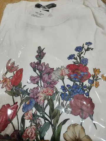 이번 시즌 완판 로이스크레용 앙제라 T셔츠