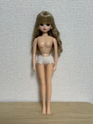 리카짱 캐슬 인형 쇼 54 모델