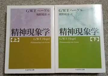 정신현상학 상하 2권 세트