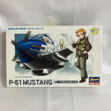 P-51 머스탱 타마고히코키