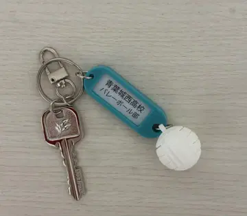 하이큐!! 트레이딩 고등학교 이름 포함 열쇠고리 아오바죠사이