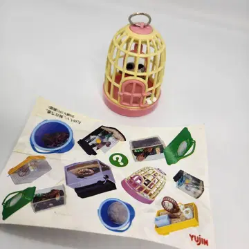 유진 즐거운 사육 당번 문조