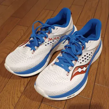 saucony ride 17