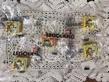 LEGO 5개 벌스데이 백 포함