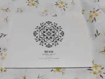 BLEACH 소책자 특전 아이젠 소스케 이치마루 긴 스타크