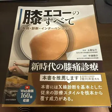 무릎 에코의 모든 것