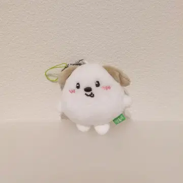 RIIZE 앤톤 봉제 인형 키링