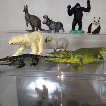 동물 피규어 세트
