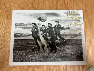 [ s**t kingz ] FLYING FIRST PENGUIN 초회반