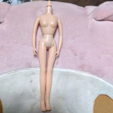 리카짱 인형 본체 스킨 컬러 바디만