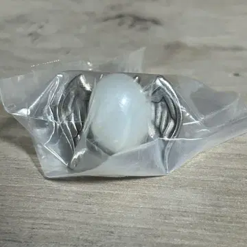 가정교사 히트맨 REBORN 봉고레 반지 육조화 마레 반지 새상품 3