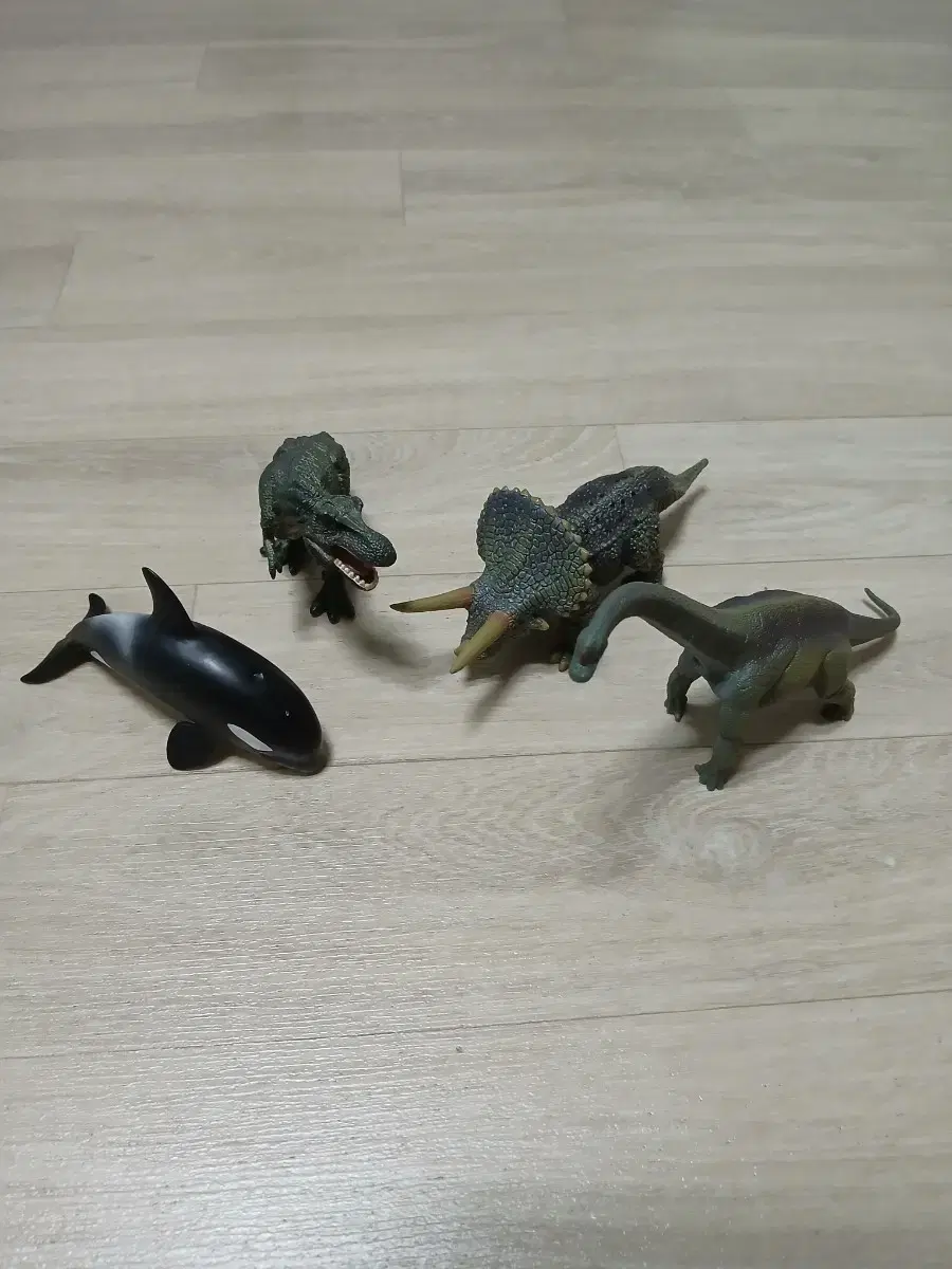 Dinosaur Collection (Many)
