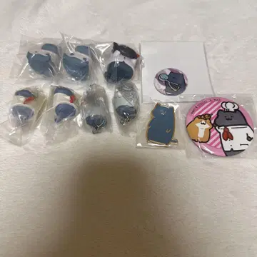오문구와 함께 고양이 묶음 판매
