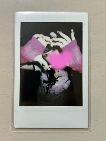 큐르링 해봐 치바 유나 과거 폴라로이드