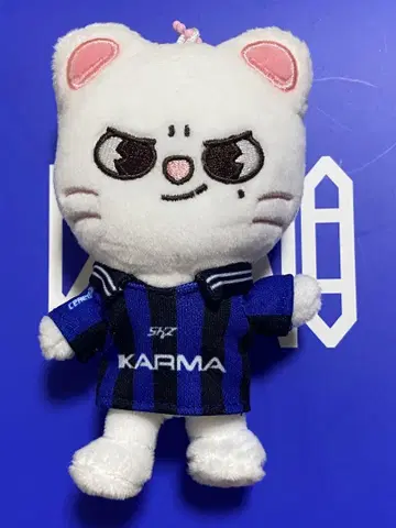 stray kids 스키즈 KARMA skzoo 지니렛