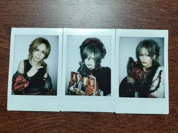 Royz 폴라로이드